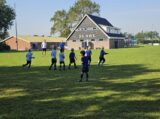 Mini Toernooitje op Sportpark Het Springer met S.K.N.W.K. JO7 en De Jonge Spartaan JO7 (59/174)